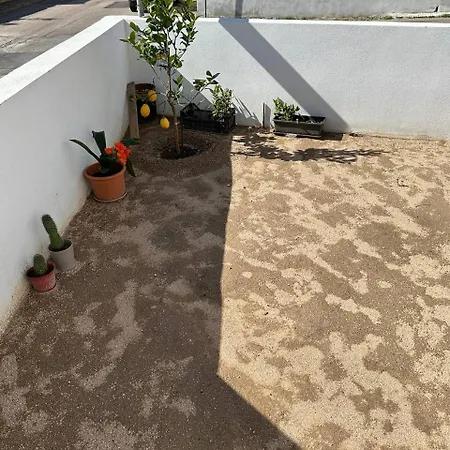 Blessed House Όλμπια